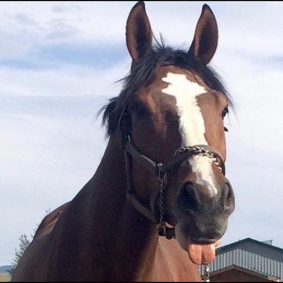 Meet your Posher, Patty - Picture 3 of 7